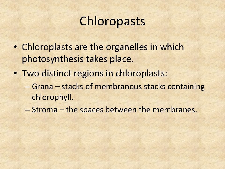 Chloropasts • Chloroplasts are the organelles in which photosynthesis takes place. • Two distinct