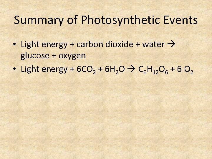 Summary of Photosynthetic Events • Light energy + carbon dioxide + water glucose +