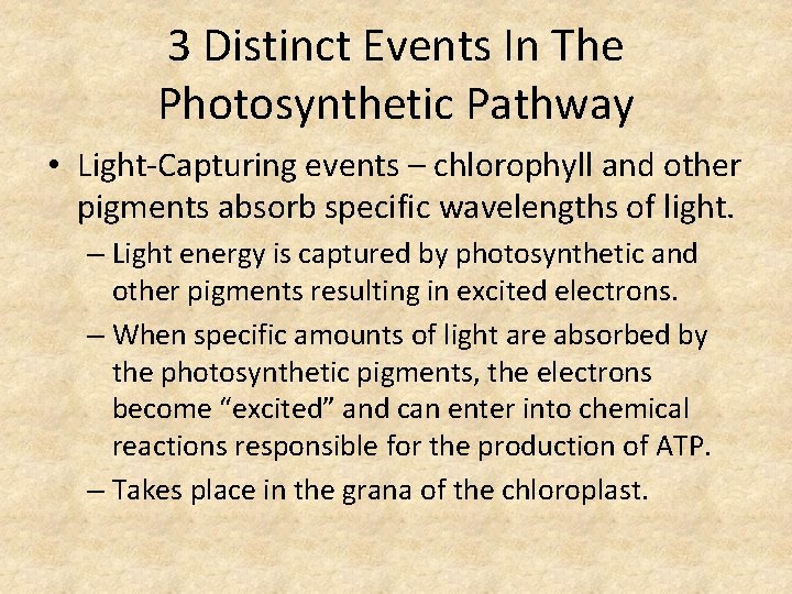 3 Distinct Events In The Photosynthetic Pathway • Light-Capturing events – chlorophyll and other