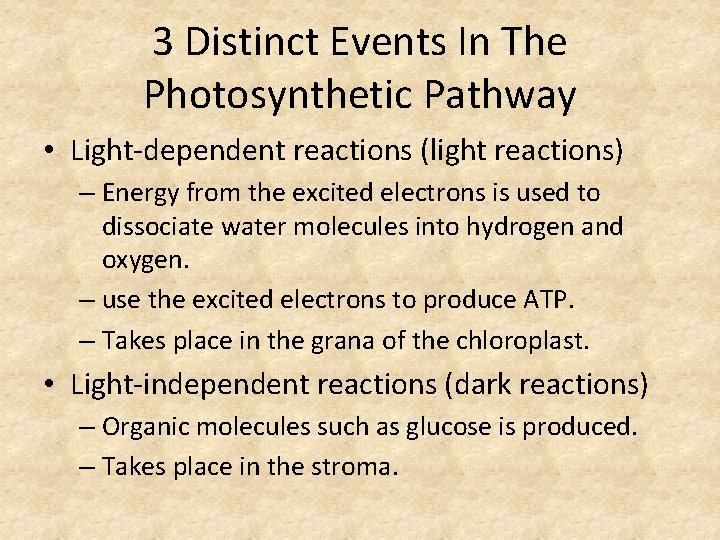 3 Distinct Events In The Photosynthetic Pathway • Light-dependent reactions (light reactions) – Energy