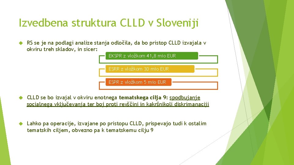 Izvedbena struktura CLLD v Sloveniji RS se je na podlagi analize stanja odločila, da