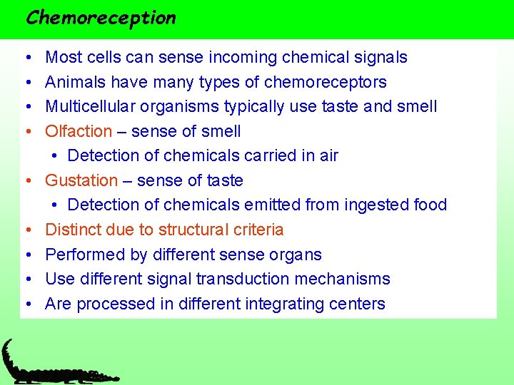 Chemoreception • • • Most cells can sense incoming chemical signals Animals have many
