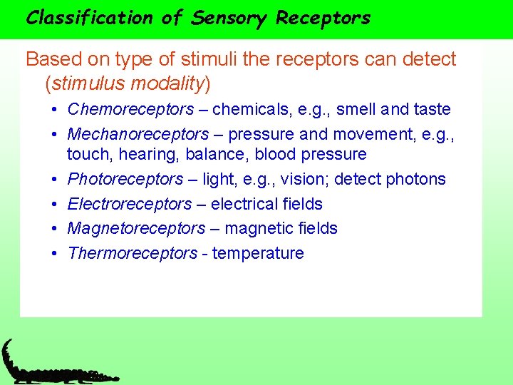 Classification of Sensory Receptors Based on type of stimuli the receptors can detect (stimulus