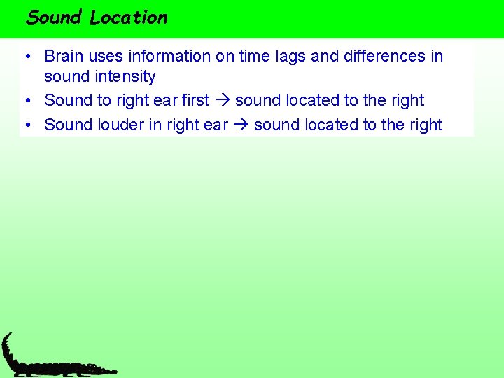 Sound Location • Brain uses information on time lags and differences in sound intensity