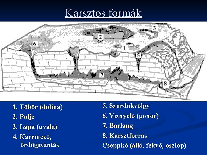 Karsztos formák 1. Töbör (dolina) 2. Polje 3. Lápa (uvala) 4. Karrmező, ördögszántás 5.