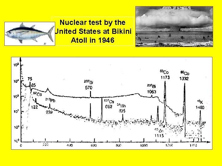 Nuclear test by the United States at Bikini Atoll in 1946 