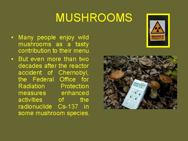 MUSHROOMS • Many people enjoy wild mushrooms as a tasty contribution to their menu.