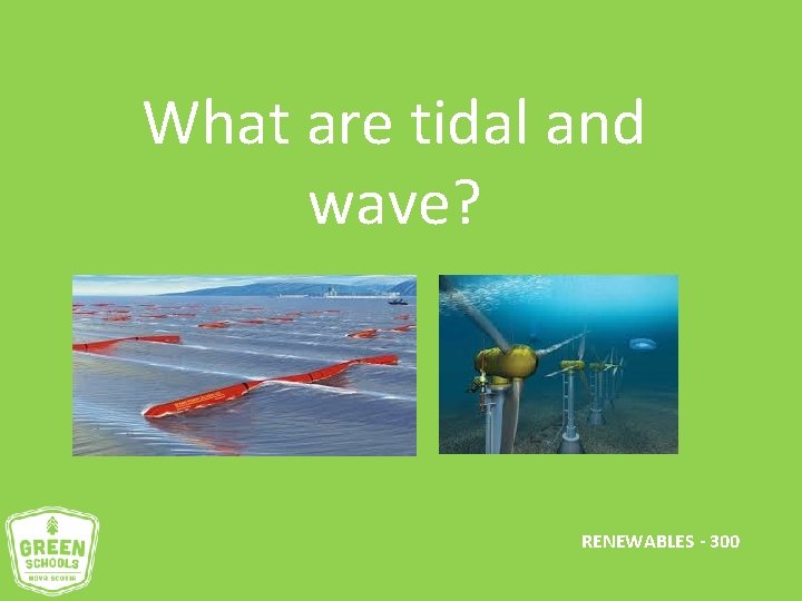 What are tidal and wave? RENEWABLES - 300 