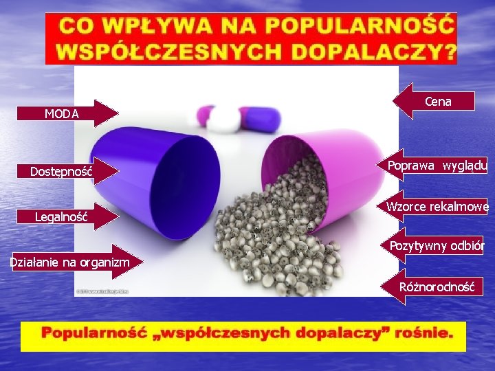 MODA Dostępność Legalność Cena Poprawa wyglądu Wzorce rekalmowe Pozytywny odbiór Działanie na organizm Różnorodność