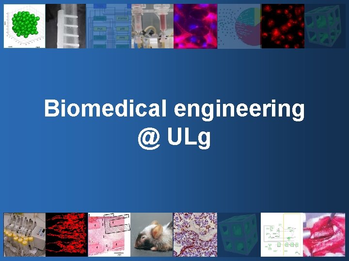 Biomedical engineering @ ULg 