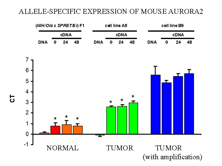 ALLELE-SPECIFIC EXPRESSION OF MOUSE AURORA 2 (NIH/Ola x SPRET/Ei) F 1 cell line A