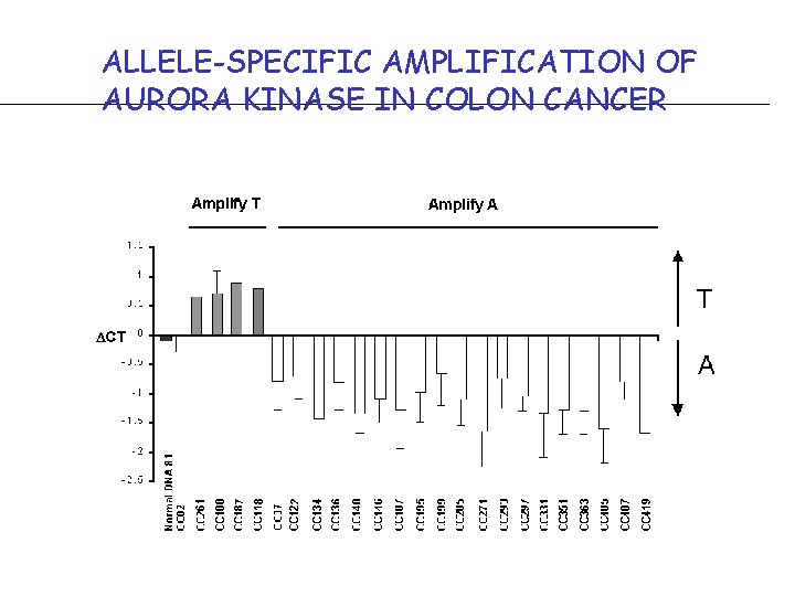 ALLELE-SPECIFIC AMPLIFICATION OF AURORA KINASE IN COLON CANCER Fig 5. Colon tumor amplification of
