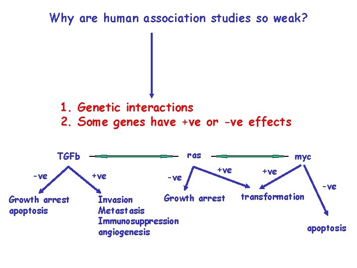 Why are human association studies so weak? 1. Genetic interactions 2. Some genes have