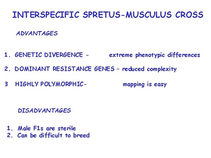 INTERSPECIFIC SPRETUS-MUSCULUS CROSS ADVANTAGES 1. GENETIC DIVERGENCE - extreme phenotypic differences 2. DOMINANT RESISTANCE