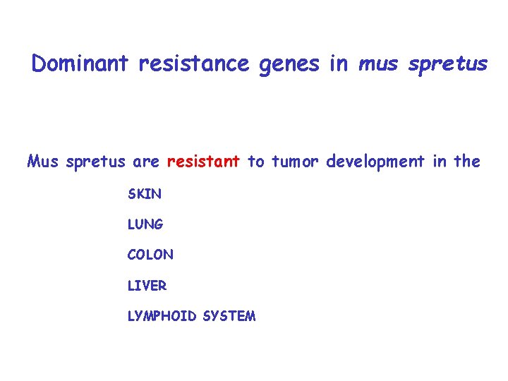 Dominant resistance genes in mus spretus Mus spretus are resistant to tumor development in