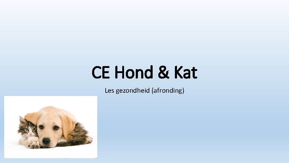 CE Hond & Kat Les gezondheid (afronding) 