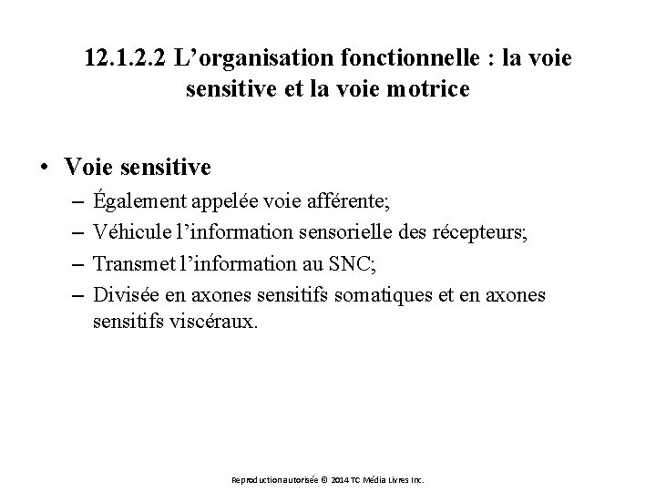 12. 1. 2. 2 L’organisation fonctionnelle : la voie sensitive et la voie motrice