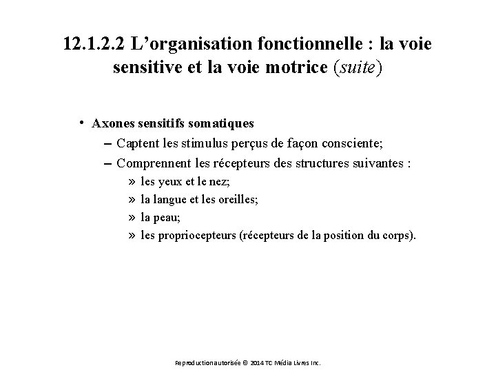 12. 1. 2. 2 L’organisation fonctionnelle : la voie sensitive et la voie motrice