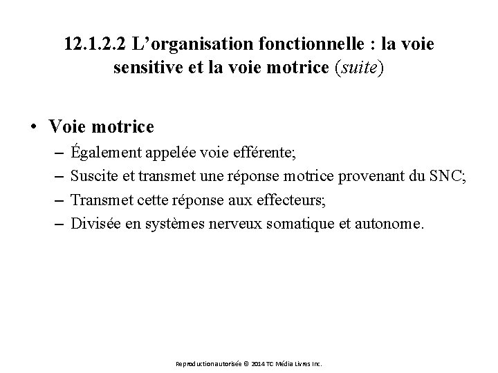 12. 1. 2. 2 L’organisation fonctionnelle : la voie sensitive et la voie motrice