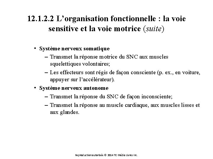 12. 1. 2. 2 L’organisation fonctionnelle : la voie sensitive et la voie motrice