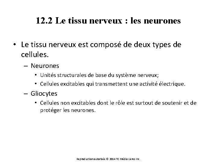 12. 2 Le tissu nerveux : les neurones • Le tissu nerveux est composé