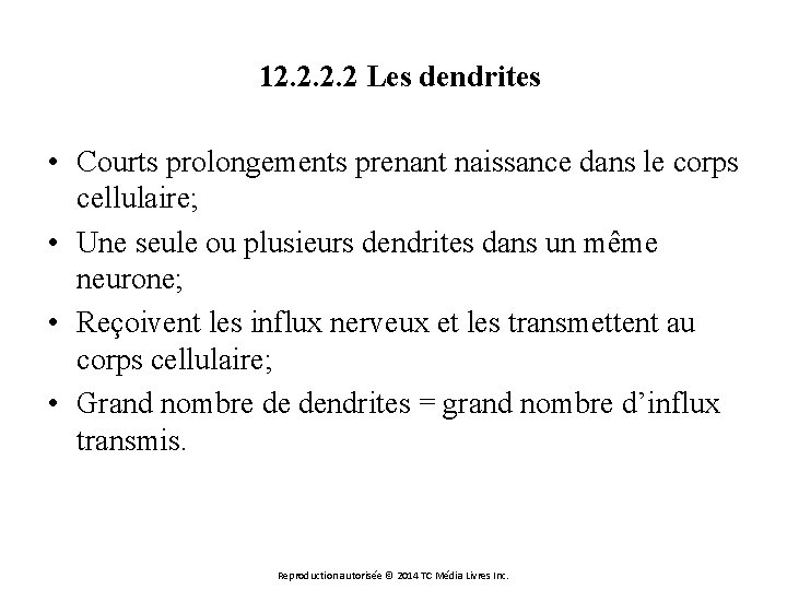 12. 2 Les dendrites • Courts prolongements prenant naissance dans le corps cellulaire; •