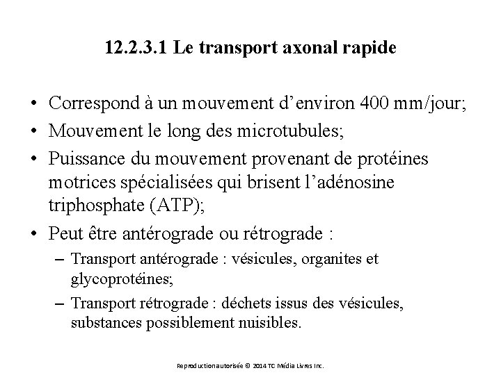 12. 2. 3. 1 Le transport axonal rapide • Correspond à un mouvement d’environ