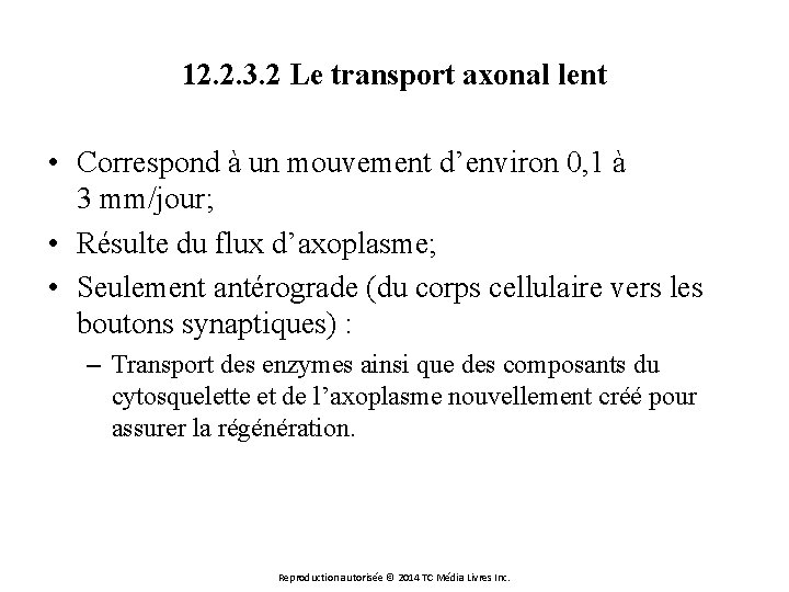 12. 2. 3. 2 Le transport axonal lent • Correspond à un mouvement d’environ