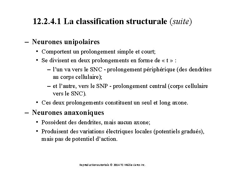 12. 2. 4. 1 La classification structurale (suite) – Neurones unipolaires • Comportent un