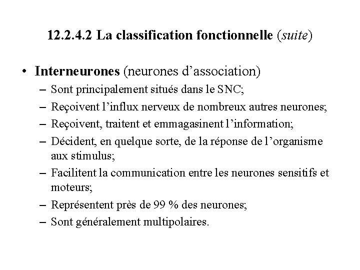 12. 2. 4. 2 La classification fonctionnelle (suite) • Interneurones (neurones d’association) – –