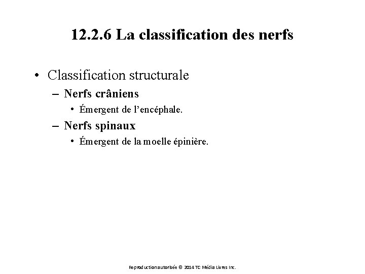 12. 2. 6 La classification des nerfs • Classification structurale – Nerfs crâniens •