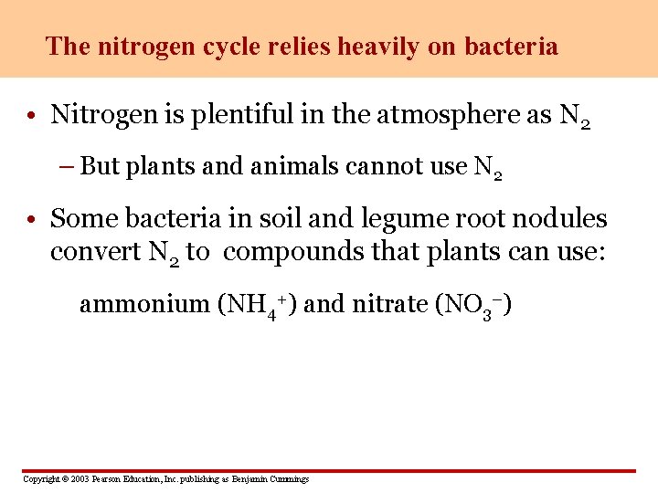 The nitrogen cycle relies heavily on bacteria • Nitrogen is plentiful in the atmosphere