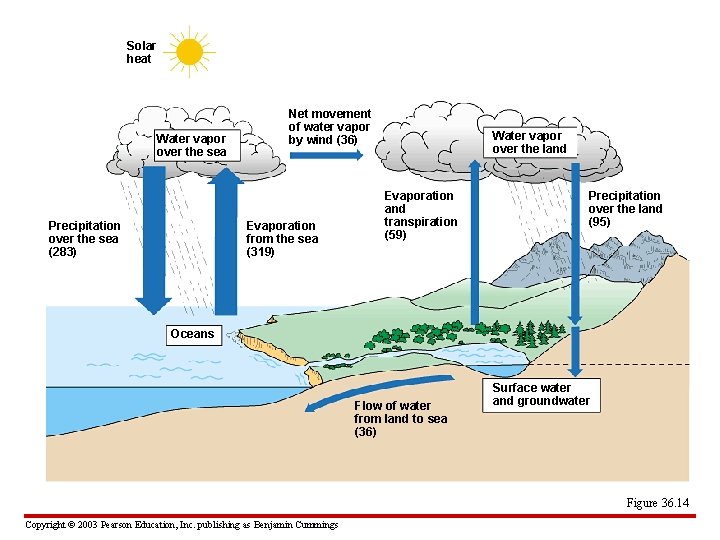 Solar heat Water vapor over the sea Precipitation over the sea (283) Net movement
