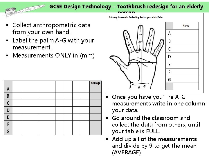 GCSE Design Technology – Toothbrush redesign for an elderly person § Collect anthropometric data