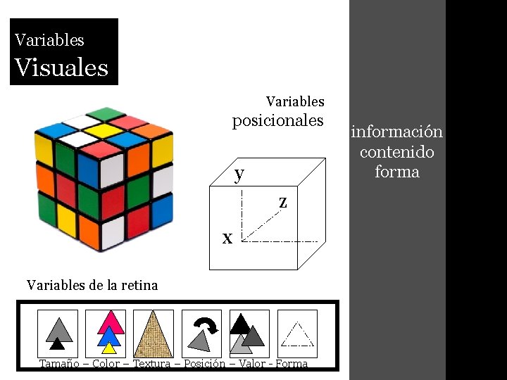 Variables Visuales Variables posicionales y z x Variables de la retina Tamaño – Color