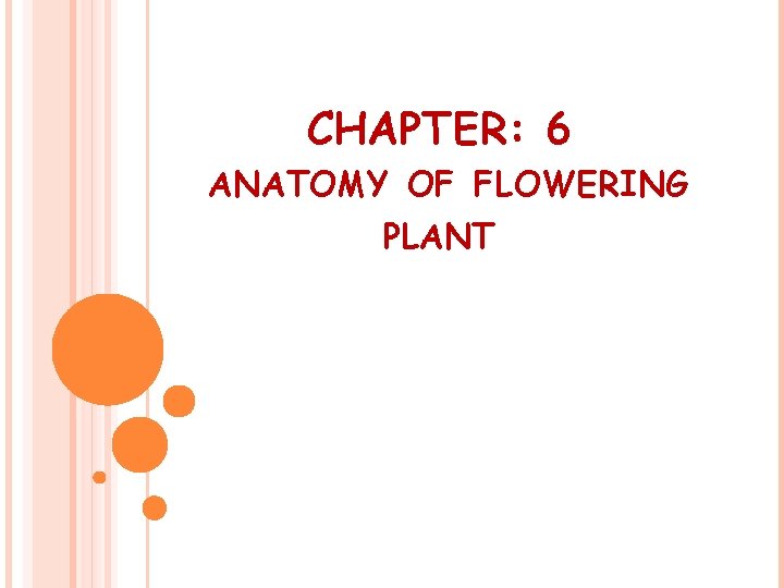 CHAPTER: 6 ANATOMY OF FLOWERING PLANT 