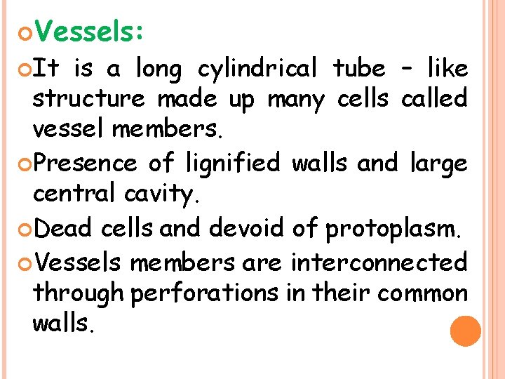  Vessels: It is a long cylindrical tube – like structure made up many