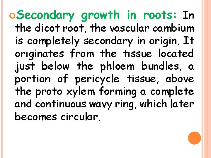  Secondary growth in roots: In the dicot root, the vascular cambium is completely