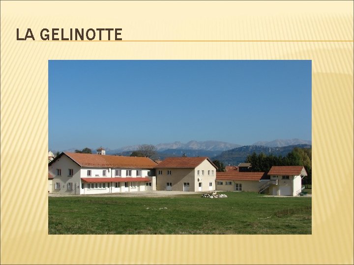 LA GELINOTTE 