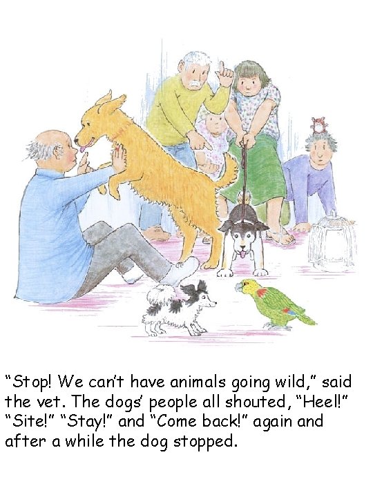 “Stop! We can’t have animals going wild, ” said the vet. The dogs’ people