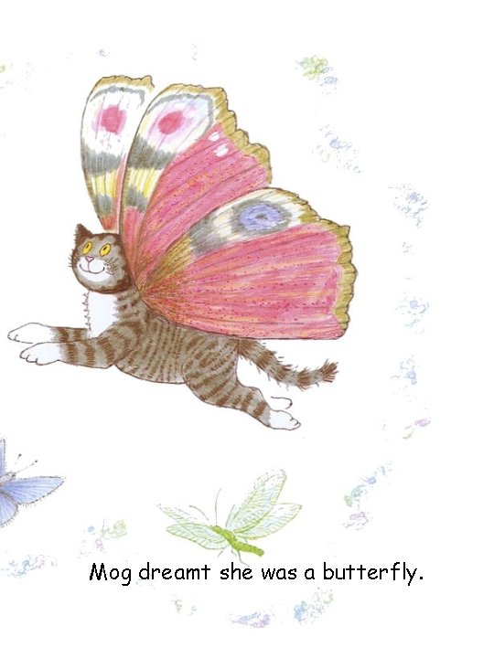 Mog dreamt she was a butterfly. 