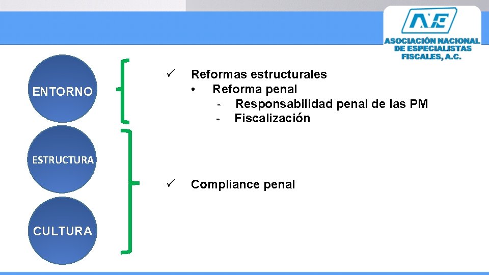ü Reformas estructurales • Reforma penal - Responsabilidad penal de las PM - Fiscalización