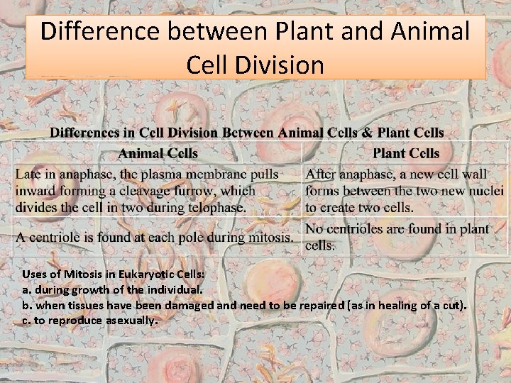 Difference between Plant and Animal Cell Division Uses of Mitosis in Eukaryotic Cells: a.