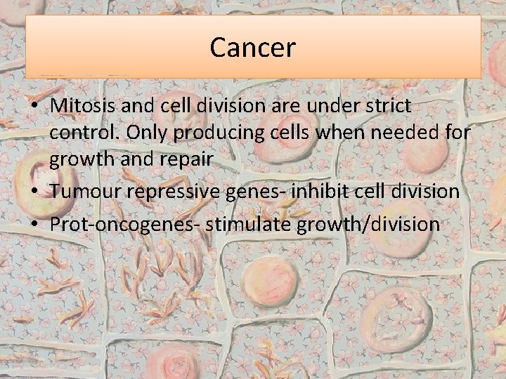 Cancer • Mitosis and cell division are under strict control. Only producing cells when