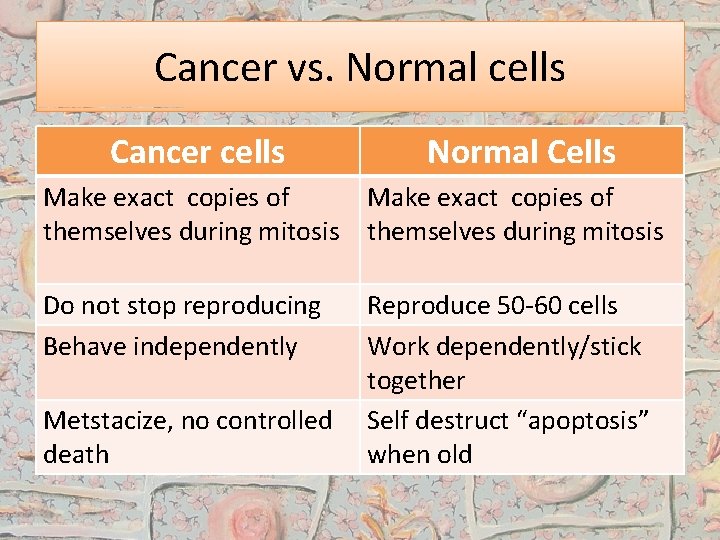 Cancer vs. Normal cells Cancer cells Normal Cells Make exact copies of themselves during