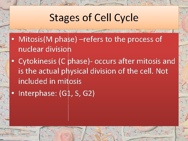Stages of Cell Cycle • Mitosis(M phase) –refers to the process of nuclear division