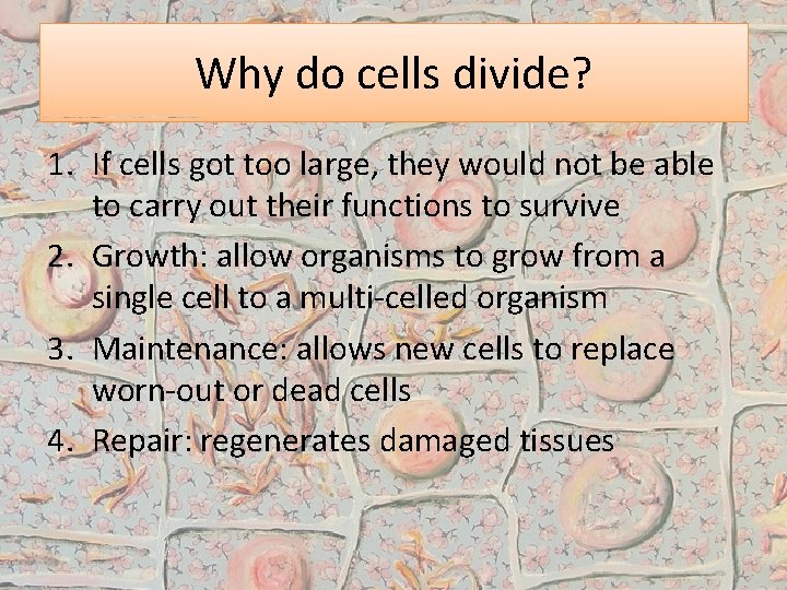 Why do cells divide? 1. If cells got too large, they would not be