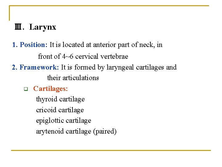 Ⅲ. Larynx 1. Position: It is located at anterior part of neck, in front Ⅲ. Larynx 1. Position: It is located at anterior part of neck, in front