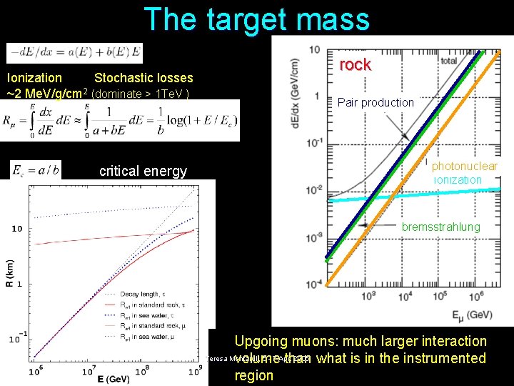 The target mass Ionization Stochastic losses ~2 Me. V/g/cm 2 (dominate > 1 Te.