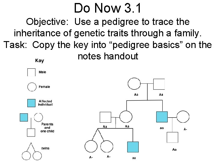 Do Now 3. 1 Objective: Use a pedigree to trace the inheritance of genetic